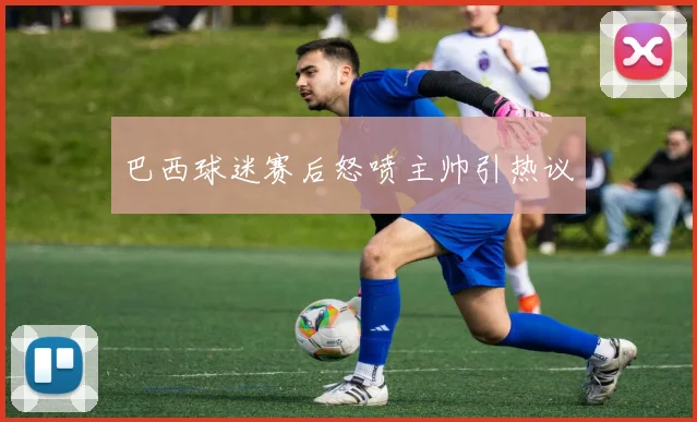 巴西球迷赛后怒喷主帅引热议