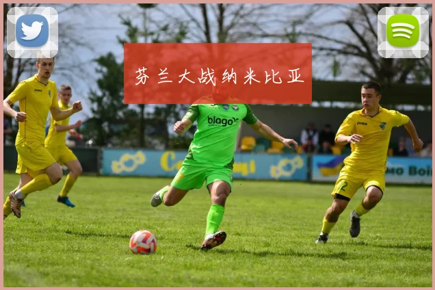 芬兰大战纳米比亚