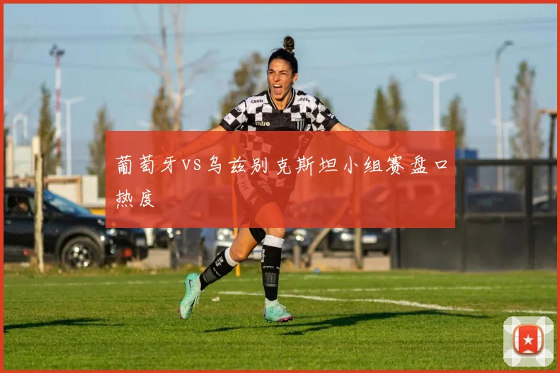 葡萄牙vs乌兹别克斯坦小组赛盘口热度