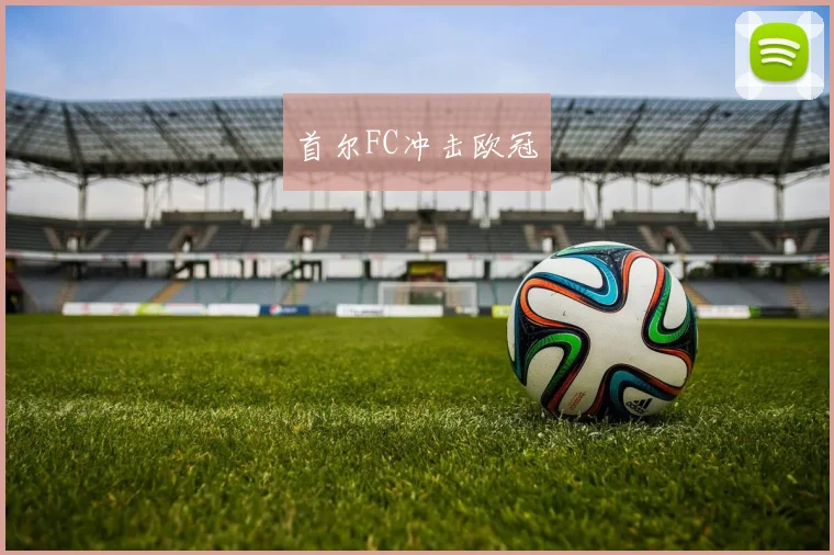 首尔FC冲击欧冠