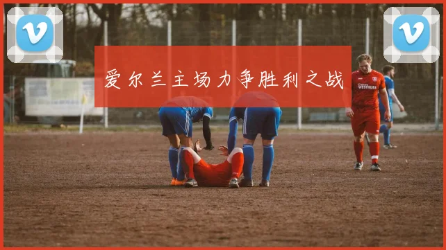 爱尔兰主场力争胜利之战