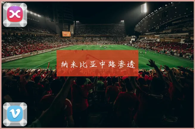 纳米比亚中路渗透