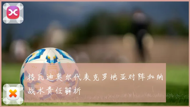 格瓦迪奥尔代表克罗地亚对阵加纳战术责任解析