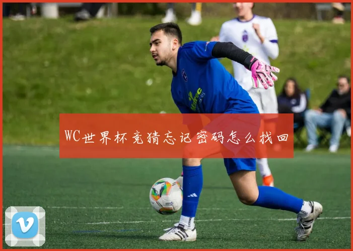 WC世界杯竞猜忘记密码怎么找回