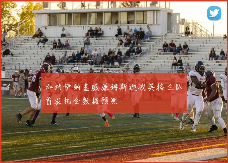 加纳伊纳基威廉姆斯迎战英格兰队首发机会数据预测